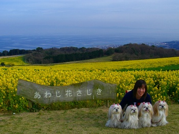 淡路島・花さじき