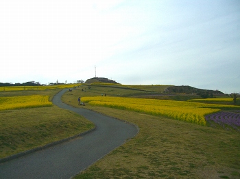 淡路島・花さじき