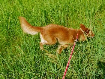 杏とおでかけ