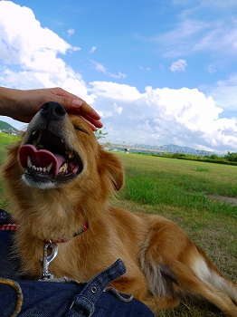 杏とおでかけ