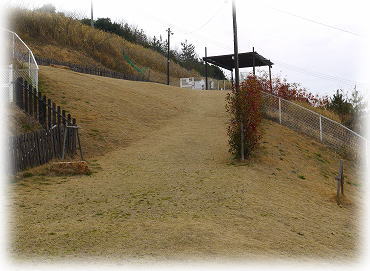 家族旅行　～岡山県　ラハイナ～