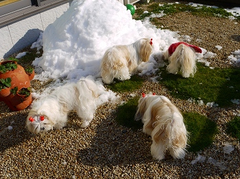 雪あそび