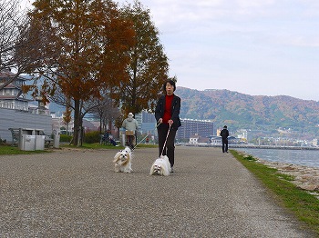 なぎさ公園をお散歩