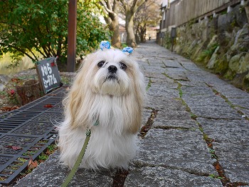 八幡堀り