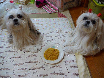 とうもろこしのパンケーキ