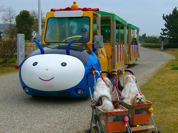 淡路島・明石海峡公園