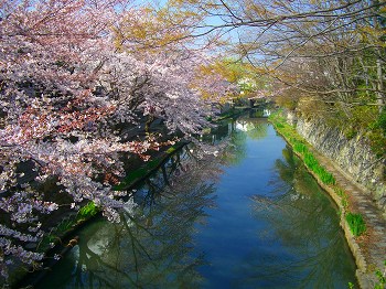 八幡掘り