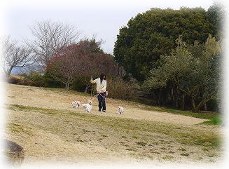 家族旅行　～岡山県　牛窓オリーブ園～