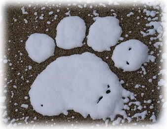 ３月の大雪