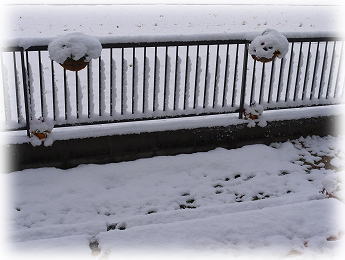 ３月の大雪