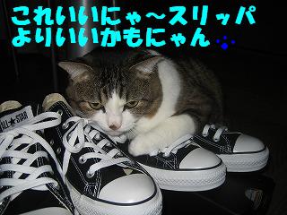 いいにゃん.JPG