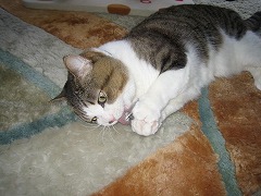IMG_1006.jpg