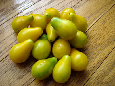 yellowtomato.jpg