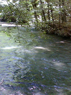 奥入瀬渓流２