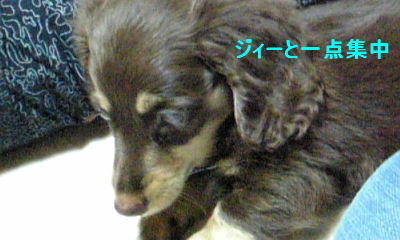 2007_052500041.JPG
