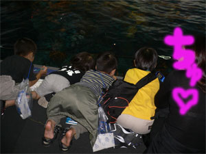 水槽に見入る人々♪