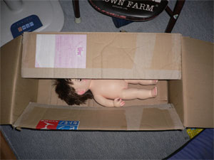 梱包ぽぽちゃん