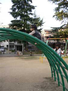 ジャングルヒメ2