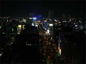 １０・２１梅の花