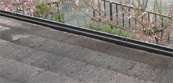 名称未設定 1.jpg
