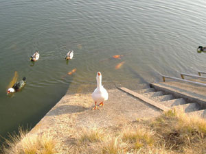 0603070032.jpg