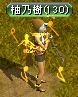 華麗に笛吹き中.JPG