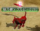 盾のマークは、保護の証！.JPG