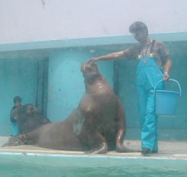 小樽水族館