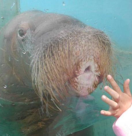 小樽水族館