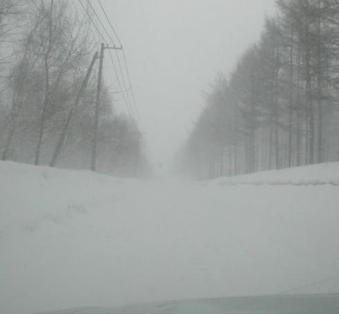 ニセコ付近・・吹雪