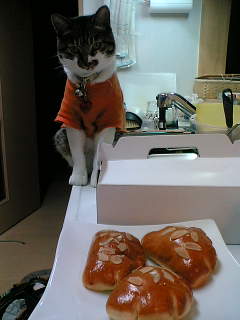 料理教室04