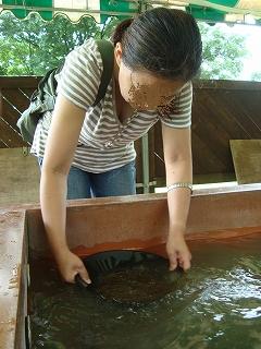 画像 731.jpg