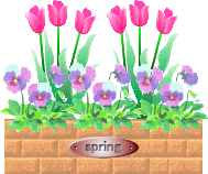 春のプランター