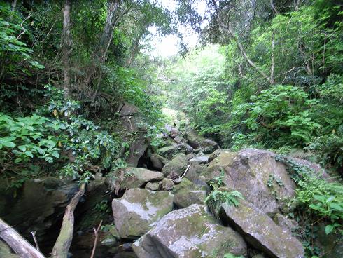 八丈島の歴史を尋ねて 資料館 ふるさと村 大滝 光るきのこツアー やっぱ暇つぶしなオミのブログ 楽天ブログ