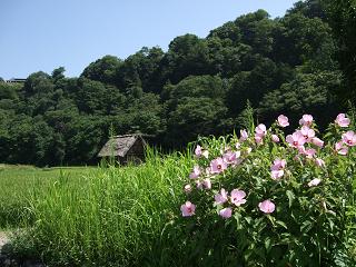 白川郷１