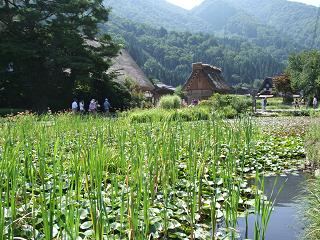 白川郷２