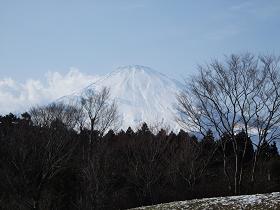 足柄より富士山