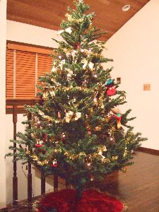 DSCF14556.jpg