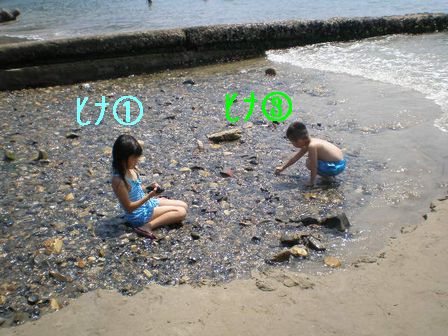 P81504311.jpg