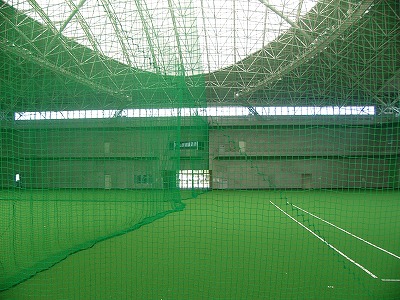 P1030160.jpg