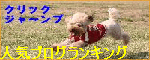 くいなバナー.png