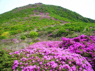 大戸越から平治岳をのぞむ