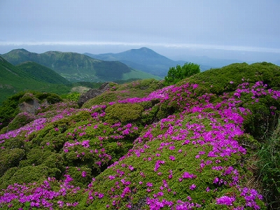湧蓋山をのぞむ