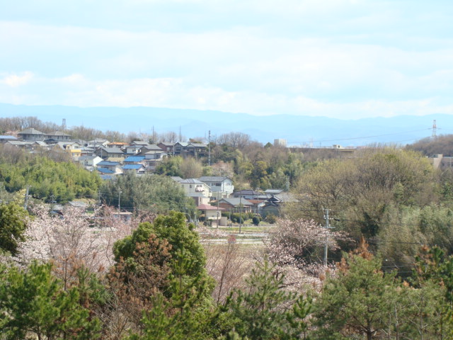 0331庭から遠景.JPG