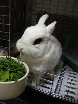 寒がりの小豆もだいぶ活動的になれるようになって嬉しいかも？！