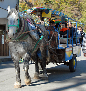 馬車.jpg