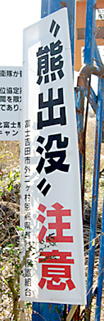 熊出没.jpg