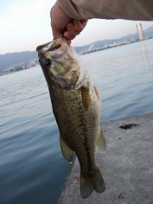 琵琶湖02
