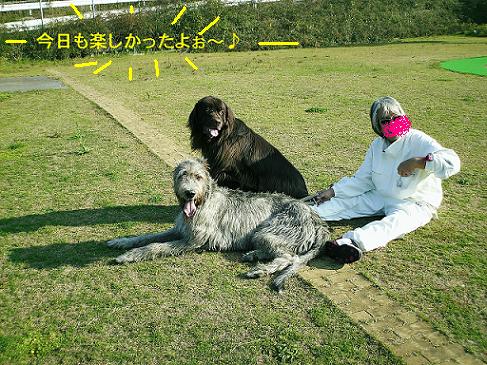 岸和田ＳＡ上り　　にて・・・