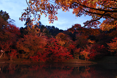 用作公園